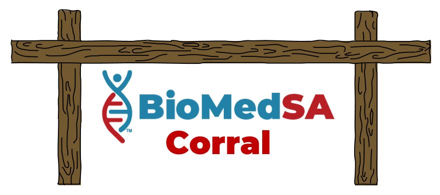 biomedsa corral